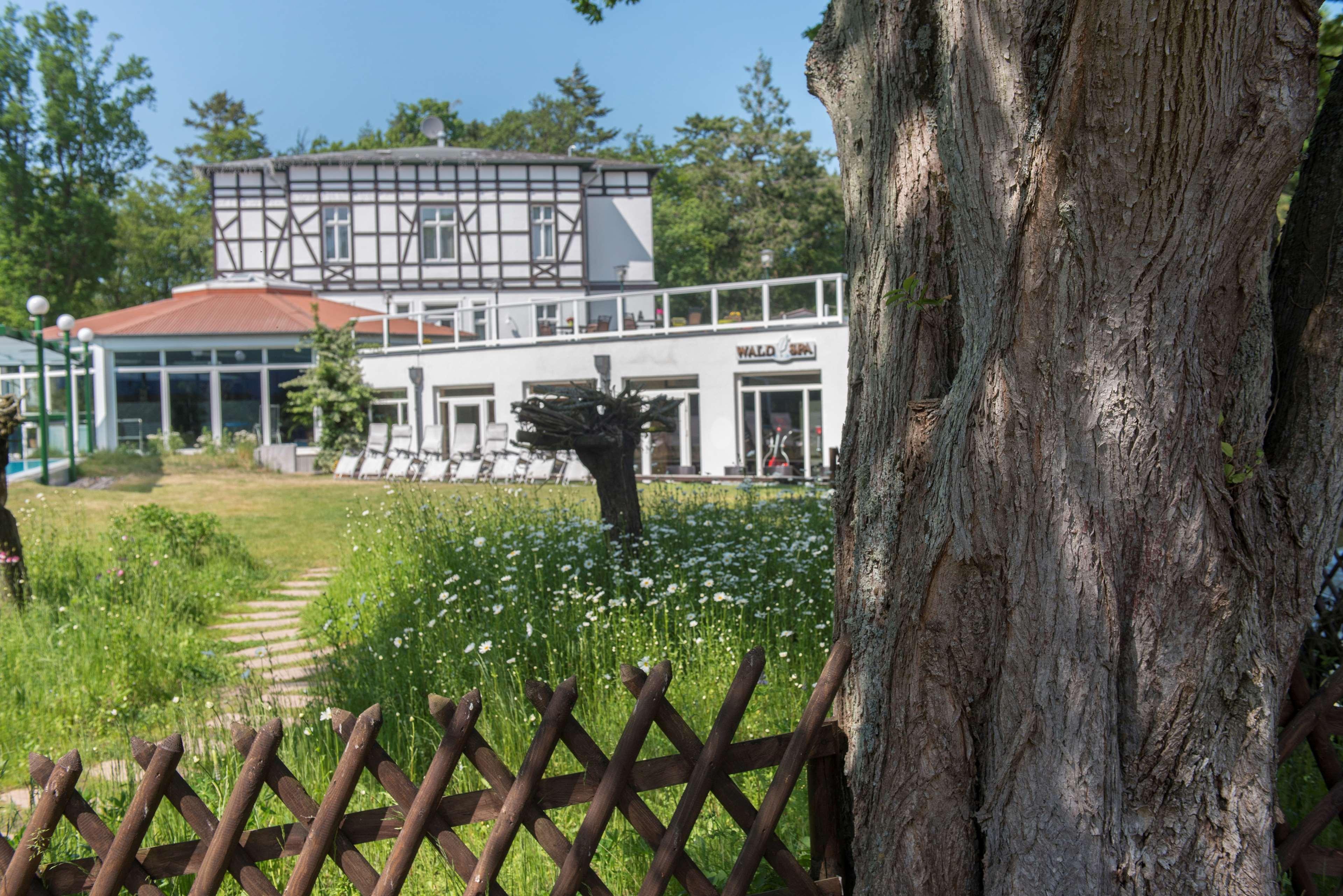 Western Ostseehotel Waldschloesschen 4* Prerow